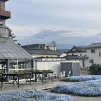 Reflections of Mount Fuji: A day trip to Lake Kawaguchiko from Tokyo