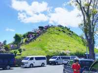 Adventure Awaits at Chocolate Hills, Bohol