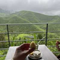 Afternoon tea at a tea plantation 