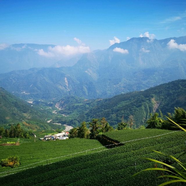 梅山 龍仔尾步道