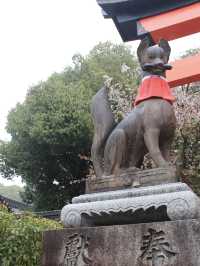 A Rainy Spring Stroll Through Fushimi Inari Taisha