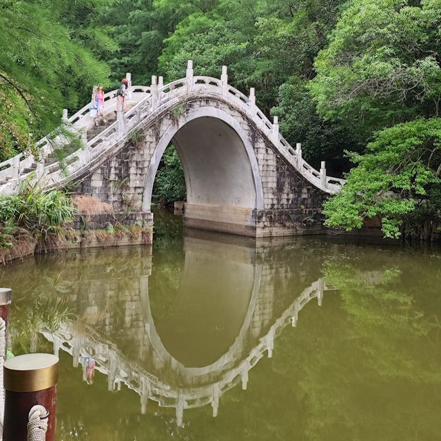 仙湖植物園（Xianhu Botanical Garden）：自然與生態的美麗結合