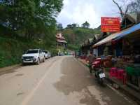 Doi Pha Tang ดอยผาตั้ง เที่ยวดอยเชียงราย