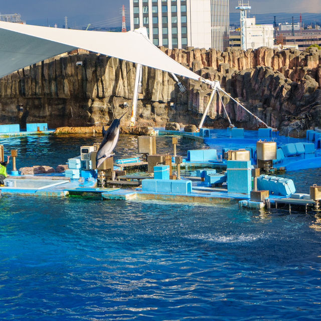 名古屋港水族館