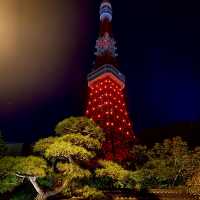 TOKYO TOWER 🗼 