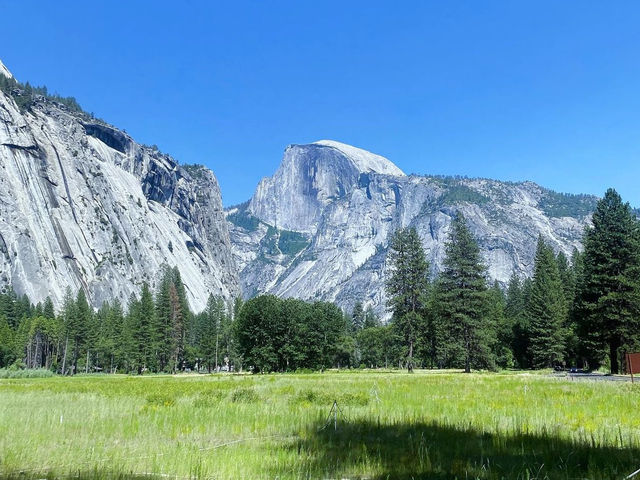 Yosemite National Park 🇺🇸