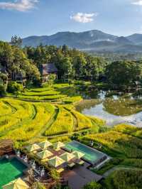 🌟 Enchanting Escapes: Chiang Mai's Four Seasons 🌿🏞️