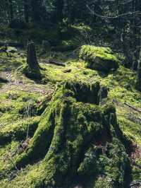 涼山人的落基山｜西昌螺髻山