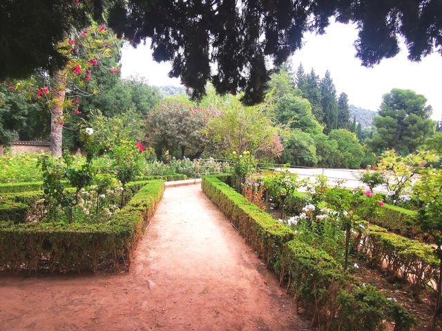 阿爾罕布拉宮花園：美不勝收。