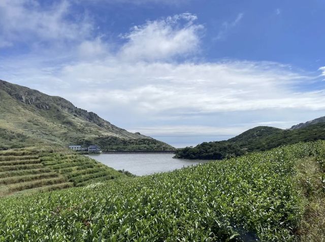 嵛山島，海上明珠的詩意畫卷。