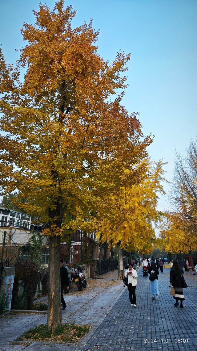 大連兒童公園旅遊攻略。