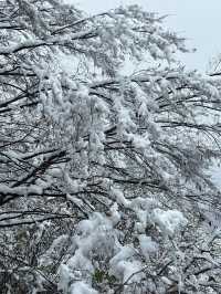 西安南五台|賞一場秦嶺初雪。