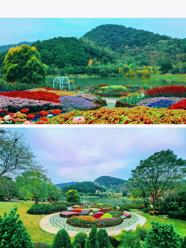 青秀山東門--葉子花園、水生花園、莫奈花園