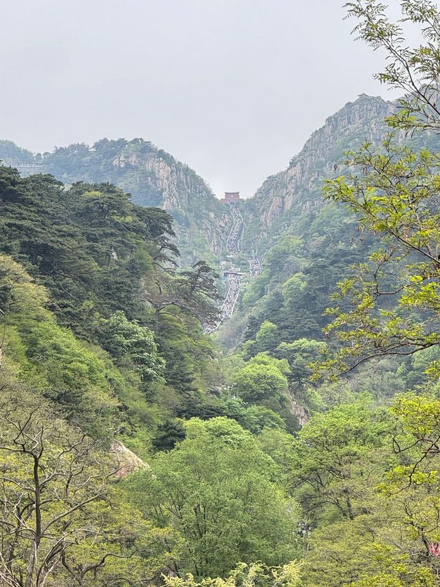 7日玩遍泰安-青島-威海超全攻略 不踩雷