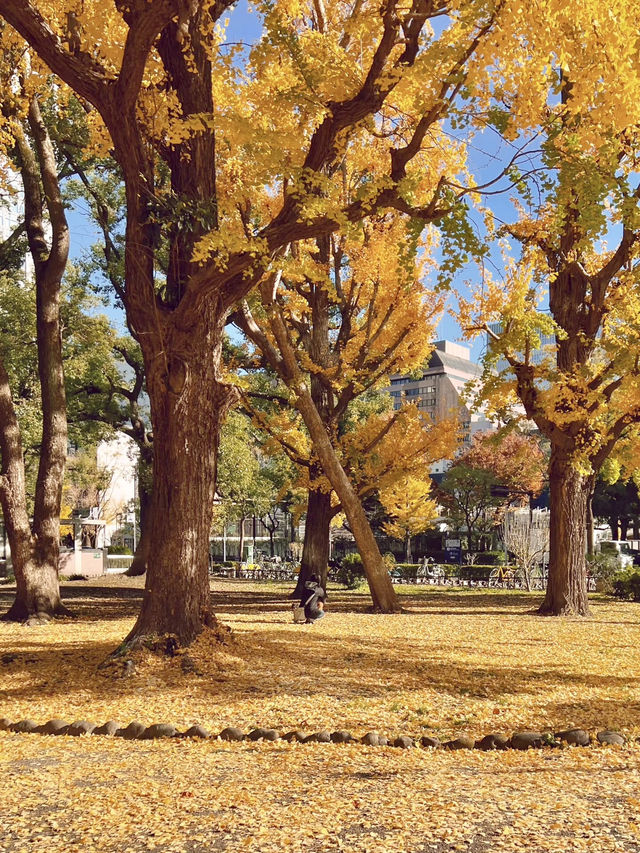 東京城市綠洲：芝公園的悠然時光