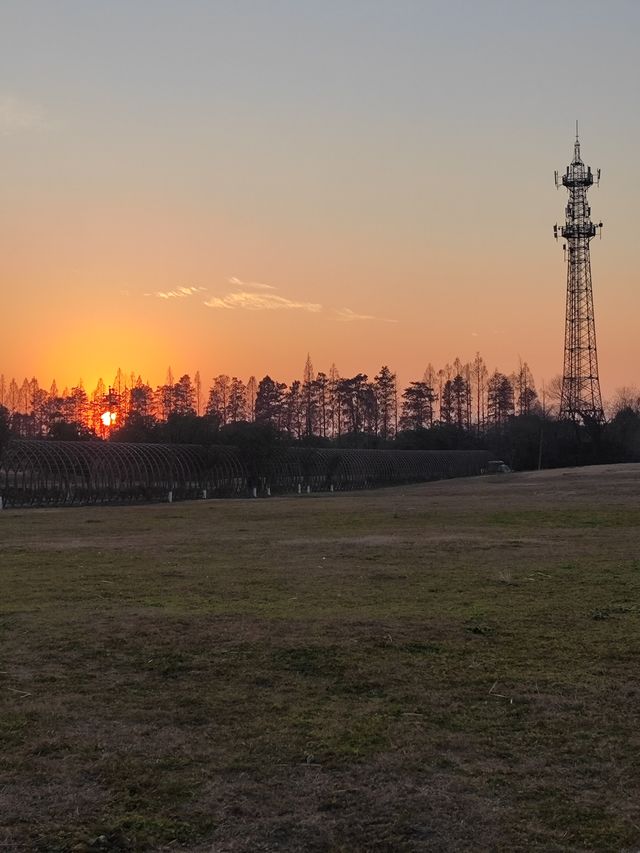 浙江杭州  良渚遺址公園