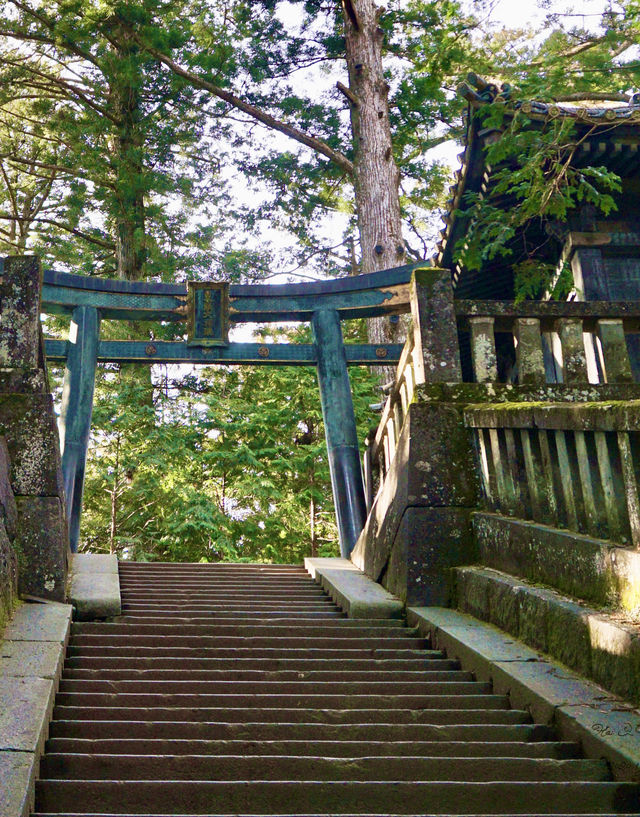 日本•栃木｜日光一日遊