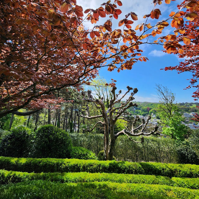 Marvel at the Majestic Cliffs and Surreal Gardens of Étretat - Where Nature Meets Art.