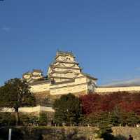 Solo travel to the most iconic Himeji Castle, Japan 🇯🇵 