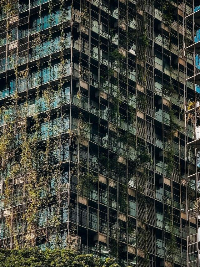 Kuala Lumpur: Where Skyscrapers Meet Culture! 🌆🌴