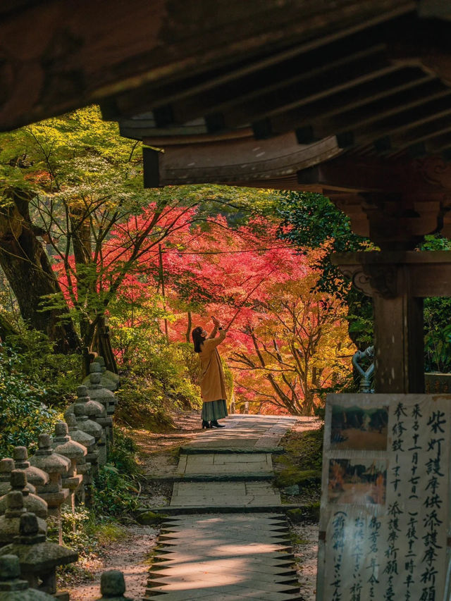 景點推薦：雷山千如寺——福岡紅葉名所與古老禪境