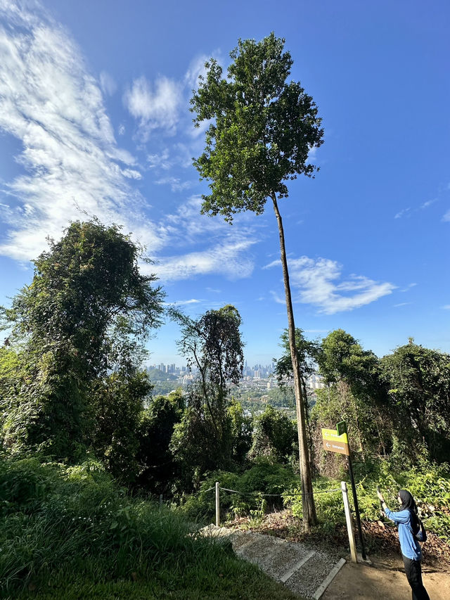 Into the Wild: A Breathtaking Escape at KL East Park