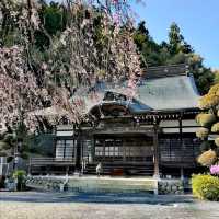 梅岩寺