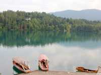 Tranquil Afternoons: Rowing on Lake Bled's Serene Waters