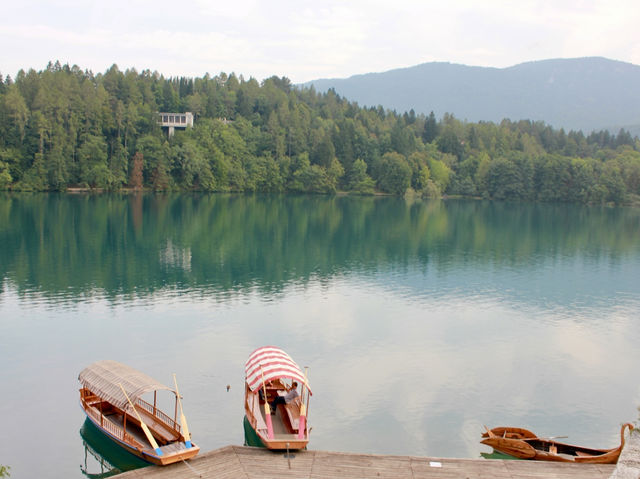 Tranquil Afternoons: Rowing on Lake Bled's Serene Waters