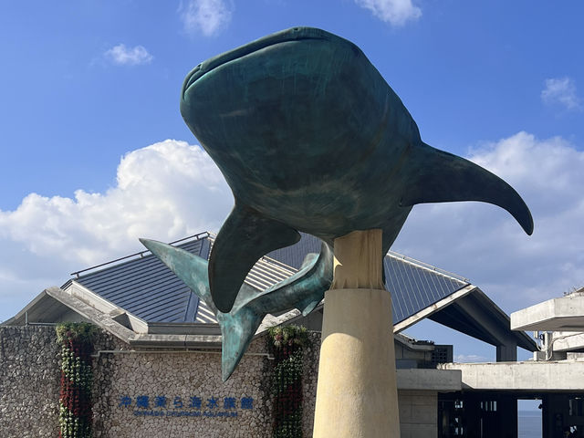 🌊沖繩美麗海水族館：世界最大水族箱與海豚表演的震撼之旅🐋