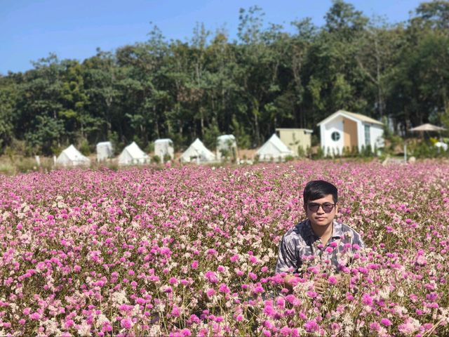 สวนหรรษาเขาใหญ่ คาเฟ่ สวนดอกไม้🌷🌷