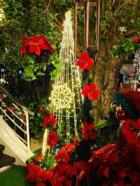 Festive Nights at Desa Park City