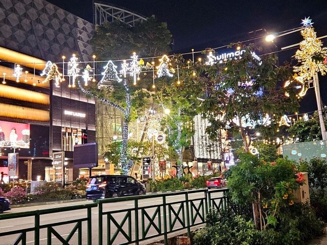 The Christmas Lights at uppee Orchard Road near ION Orchard 