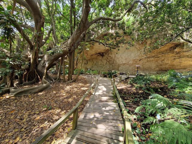 Autumn at Botanical Garden Cagliari 🗺️