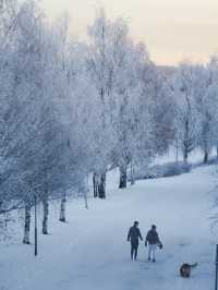 Winter is Coming in Rovaniemi 🇫🇮 