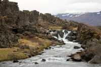 Iceland's Capital of Cool