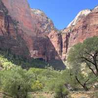 A riverside walk at Zion 