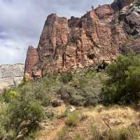 A riverside walk at Zion 