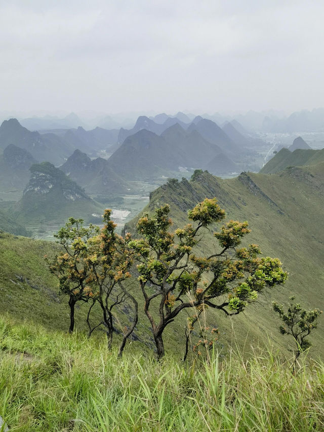 廣西劍龍山