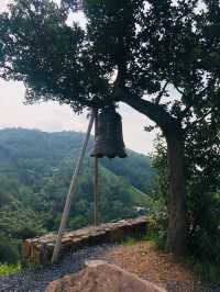 竹林茶園，如入幽谷—安吉老莊山居