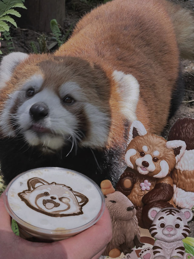 北京動物園