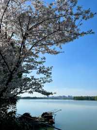 上海青西郊野公園｜上海避暑的水上自然園與綠野仙蹤