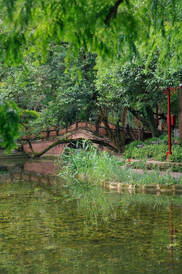 紅樓夢中園，千年罨畫池，這個中式園林超出片