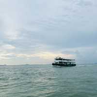 Tai O Boat Trip 🚤🇭🇰 Watch the Chinese Pink Dolphin! 🐬💓