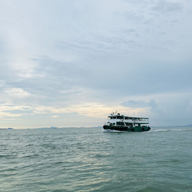 Tai O Boat Trip 🚤🇭🇰 Watch the Chinese Pink Dolphin! 🐬💓