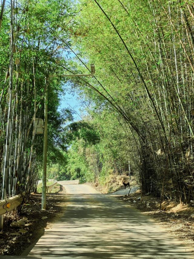 惠州南昆山「森歸」初冬溫泉之旅。