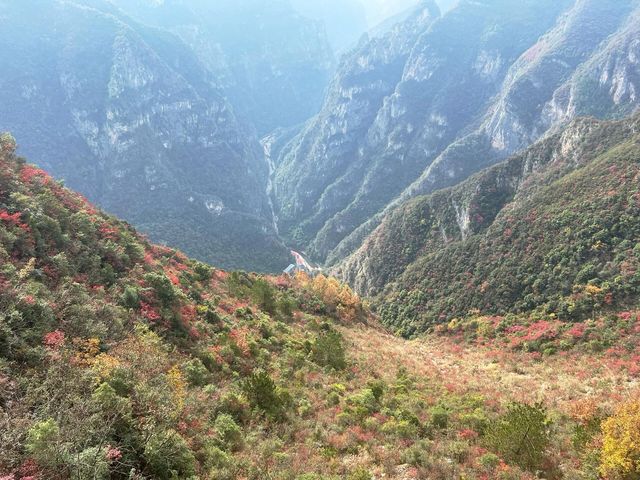 重慶巫山|南方最美紅葉勝地。