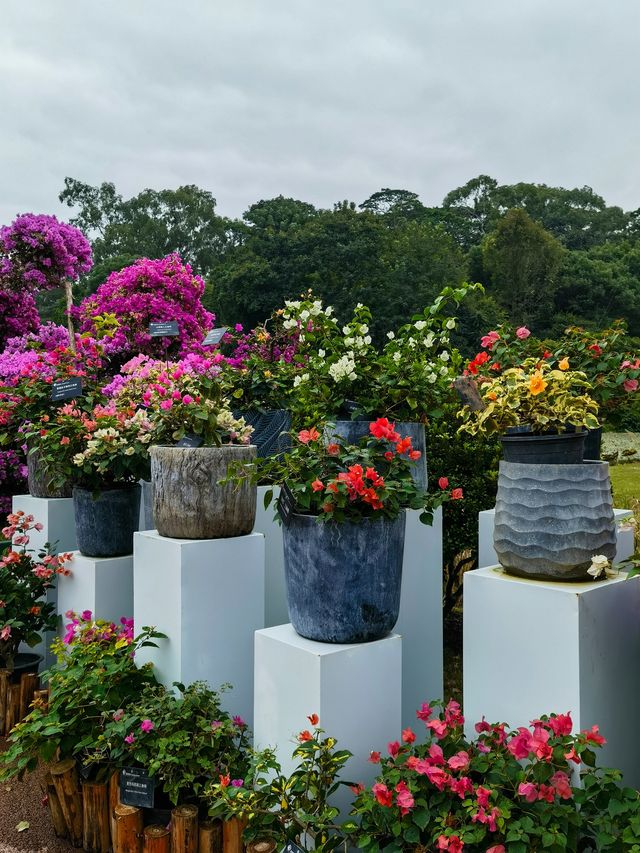 華南國家植物園。