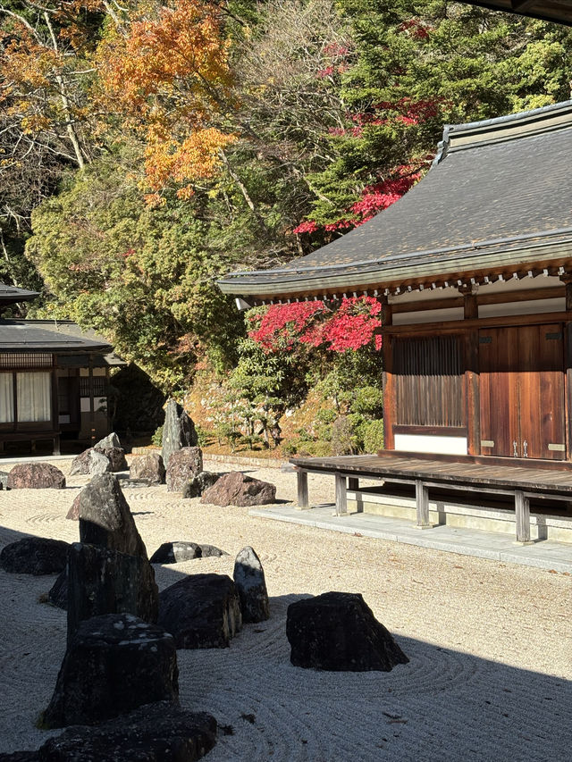 世界文化遺產日本佛教聖地高野山一日遊