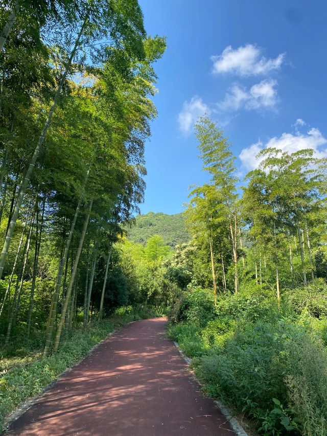 黃山2日遊長者也能輕鬆玩轉